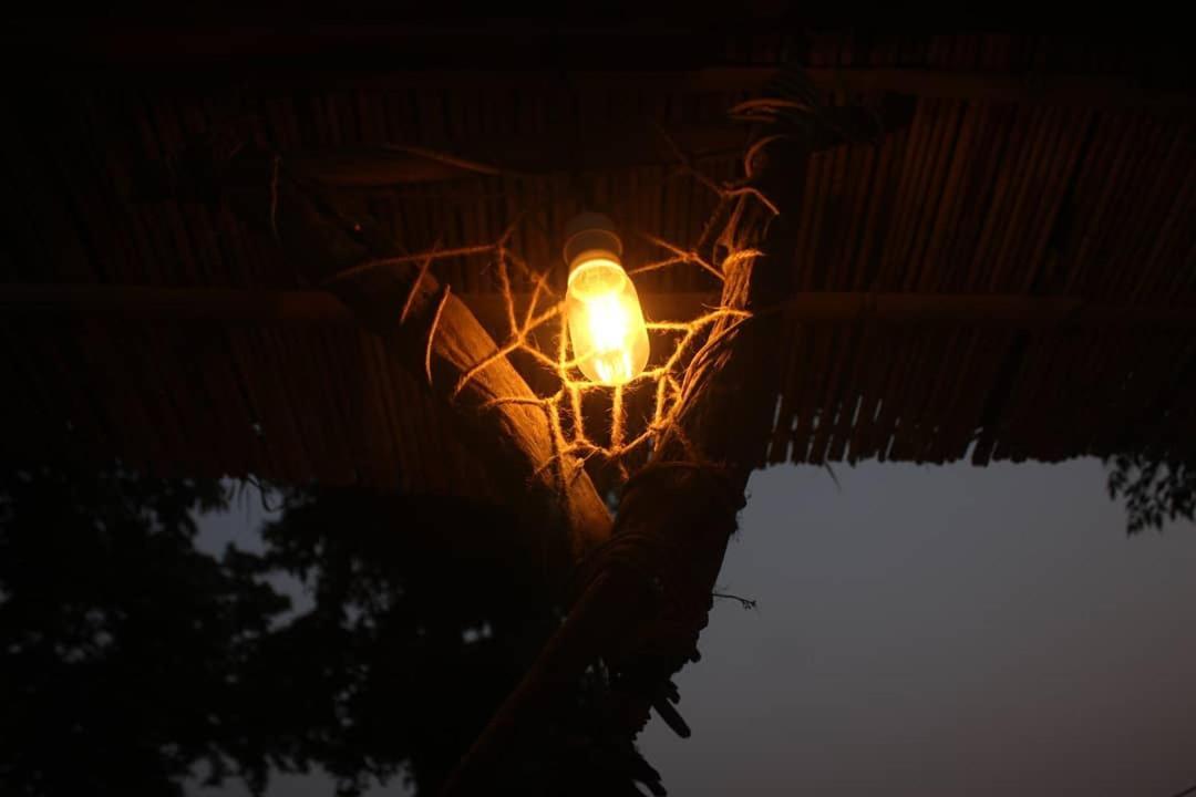 Happy Lemon Tree Lodge Sauraha Εξωτερικό φωτογραφία