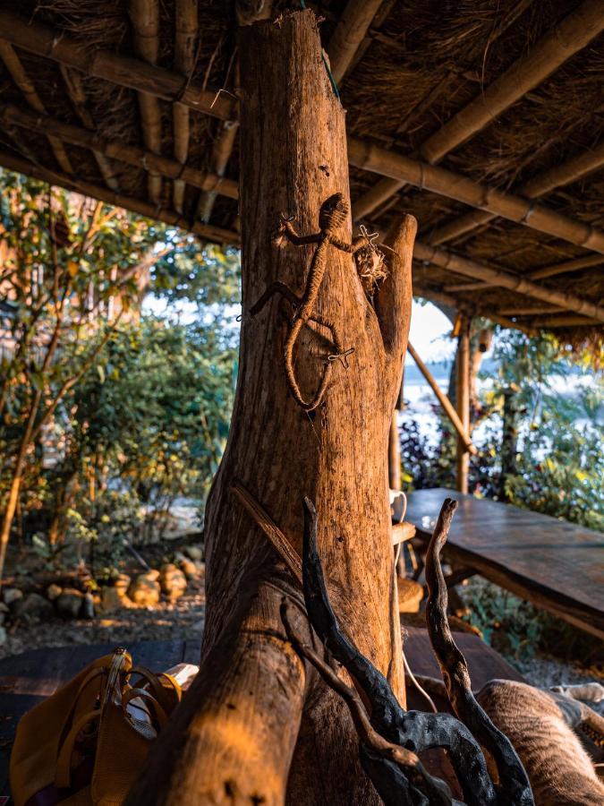 Happy Lemon Tree Lodge Sauraha Εξωτερικό φωτογραφία