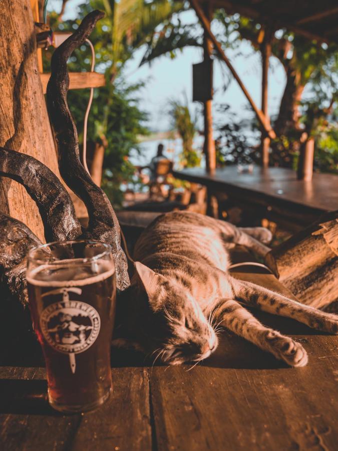 Happy Lemon Tree Lodge Sauraha Εξωτερικό φωτογραφία