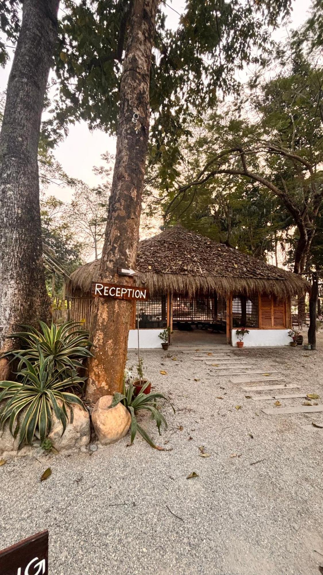 Happy Lemon Tree Lodge Sauraha Εξωτερικό φωτογραφία