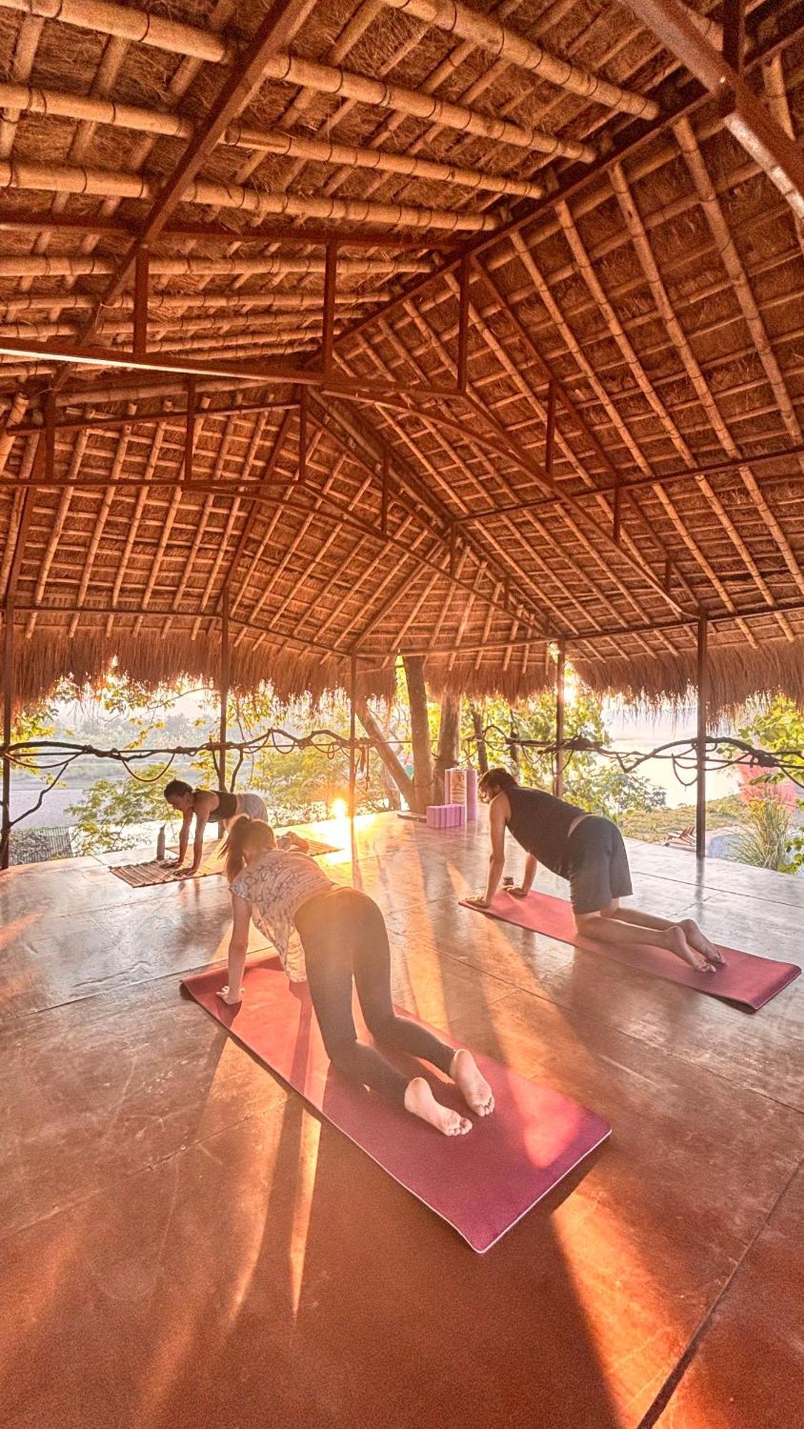 Happy Lemon Tree Lodge Sauraha Εξωτερικό φωτογραφία
