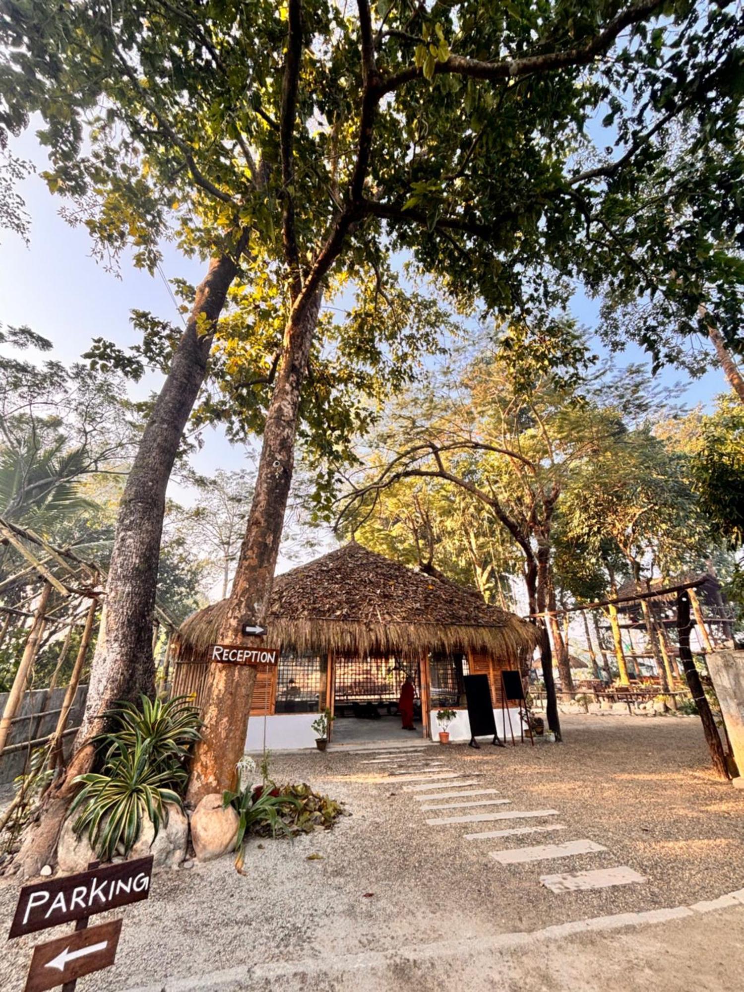 Happy Lemon Tree Lodge Sauraha Εξωτερικό φωτογραφία