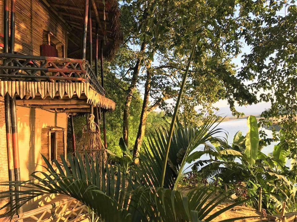 Happy Lemon Tree Lodge Sauraha Εξωτερικό φωτογραφία