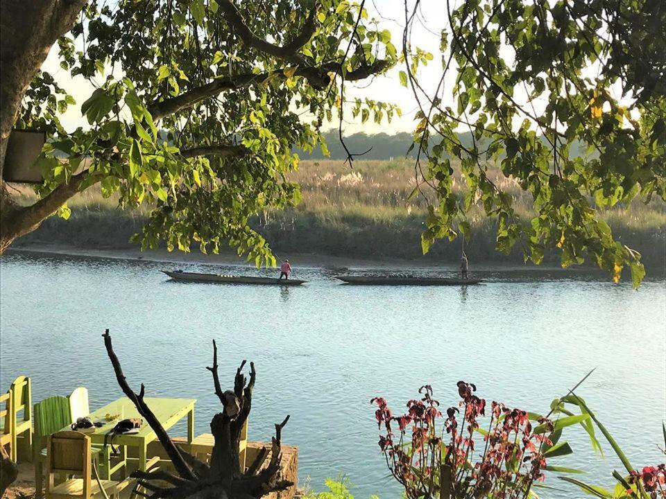 Happy Lemon Tree Lodge Sauraha Εξωτερικό φωτογραφία